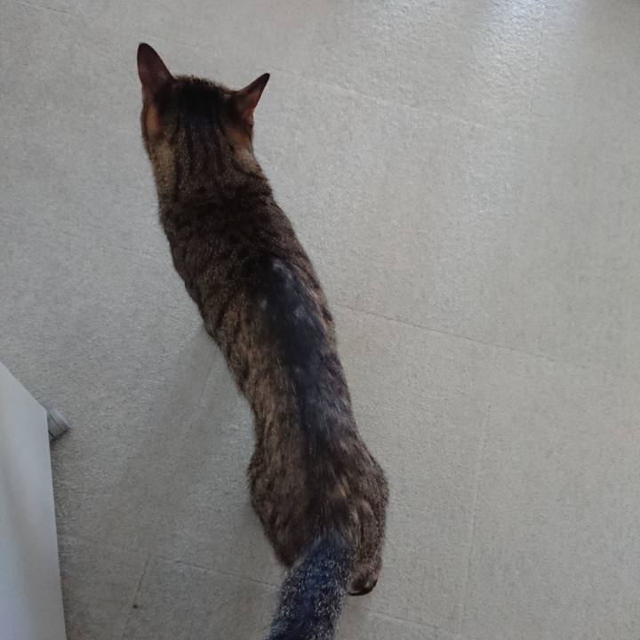 Ceedcb80 94c5 4826 a85a 4ab0166a0c27 1567816834379