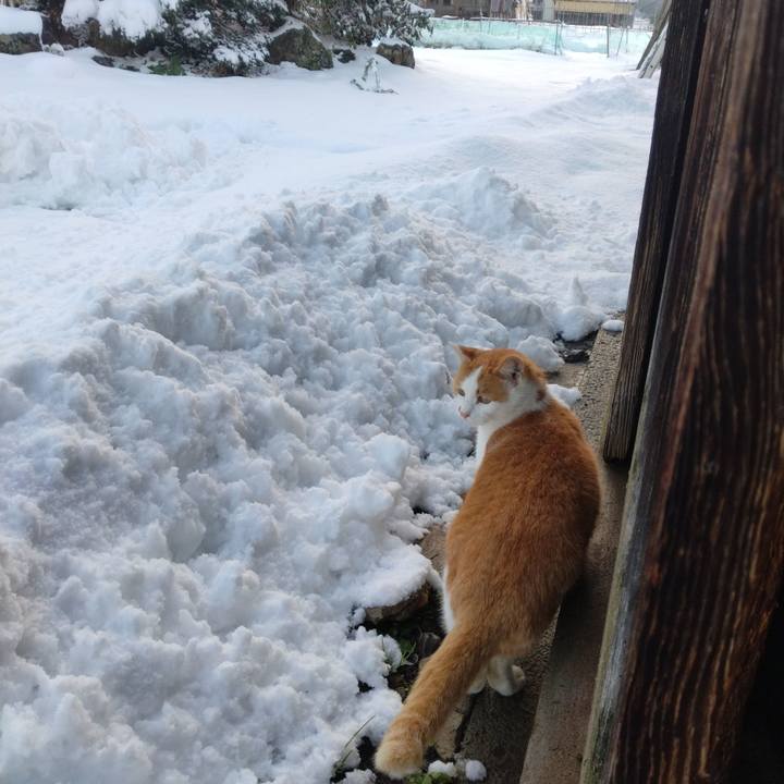 Ceedd313 b6a1 43b3 8957 5b5c031bceca 1764830764512