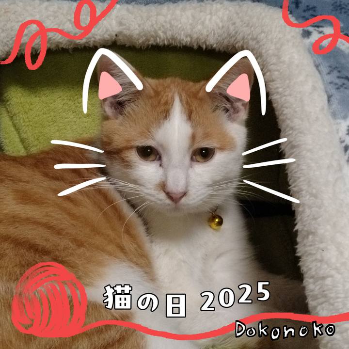 Ceee024f 2077 4a22 925c cf55143939d8 1740128897137