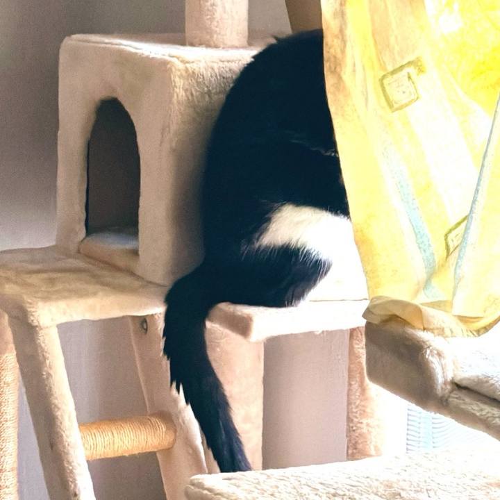 Ceee1836 d2e3 4cb8 a26c 1e74330b170d 1731887779678