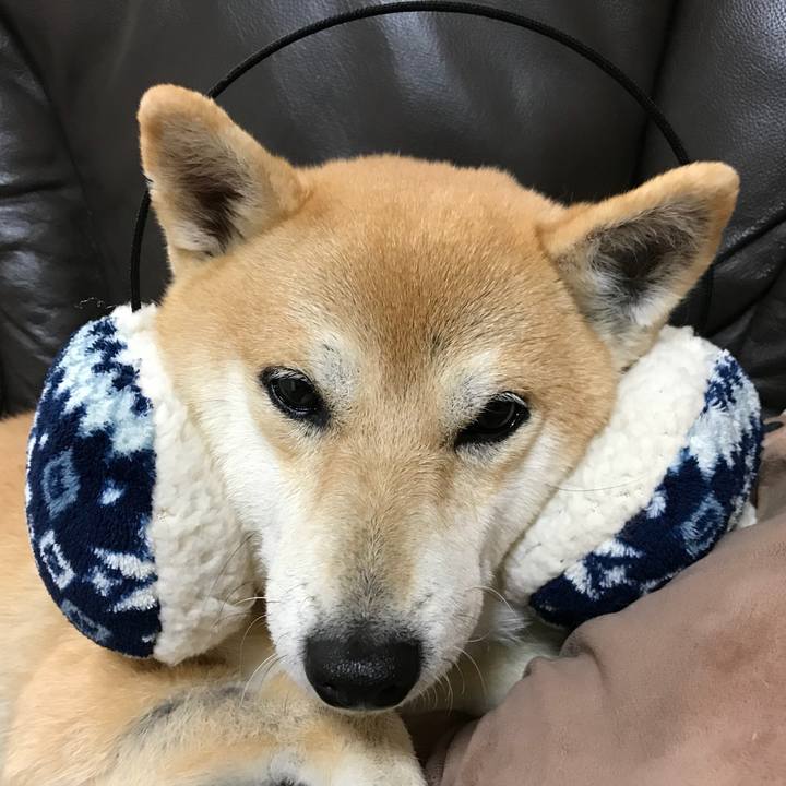 Ceee1d83 7487 4793 a4d9 09aeb01c09ad 1514277719567