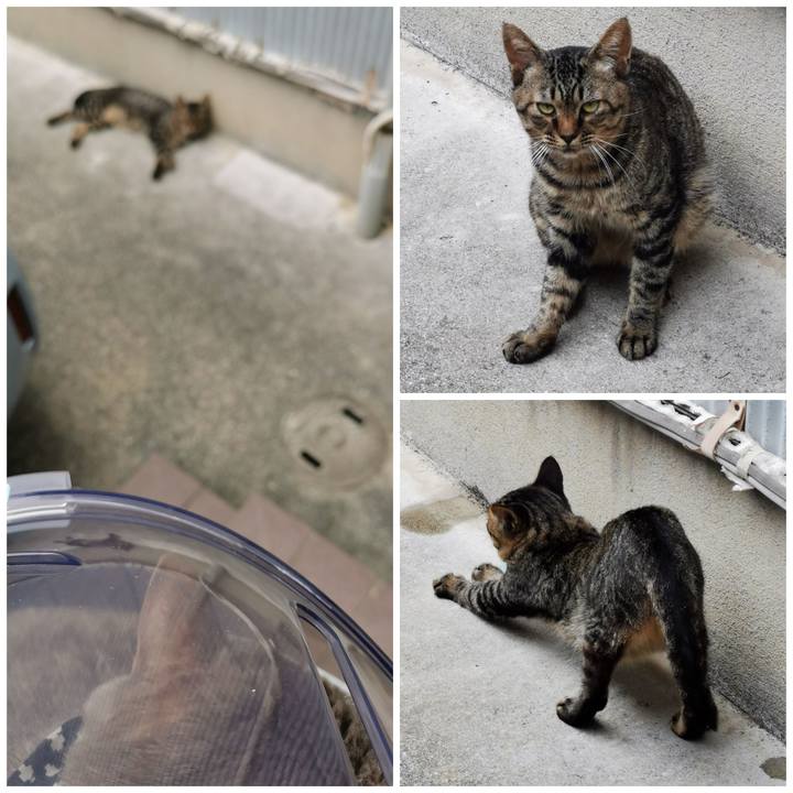 Ceee59cc 420e 417d b2b4 1ee03af80f8c 1661228869417