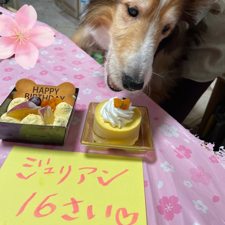 Ceee5c7f f476 48ca 9c6a ed4724b62c62 1652940585437