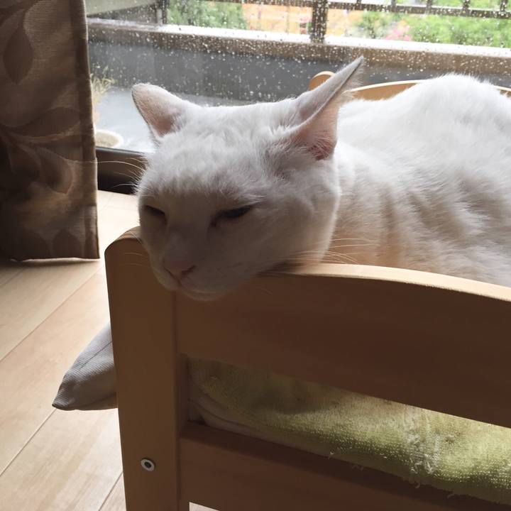 Ceee997d 82d5 410e 98f0 787ab170334a 1558392813553