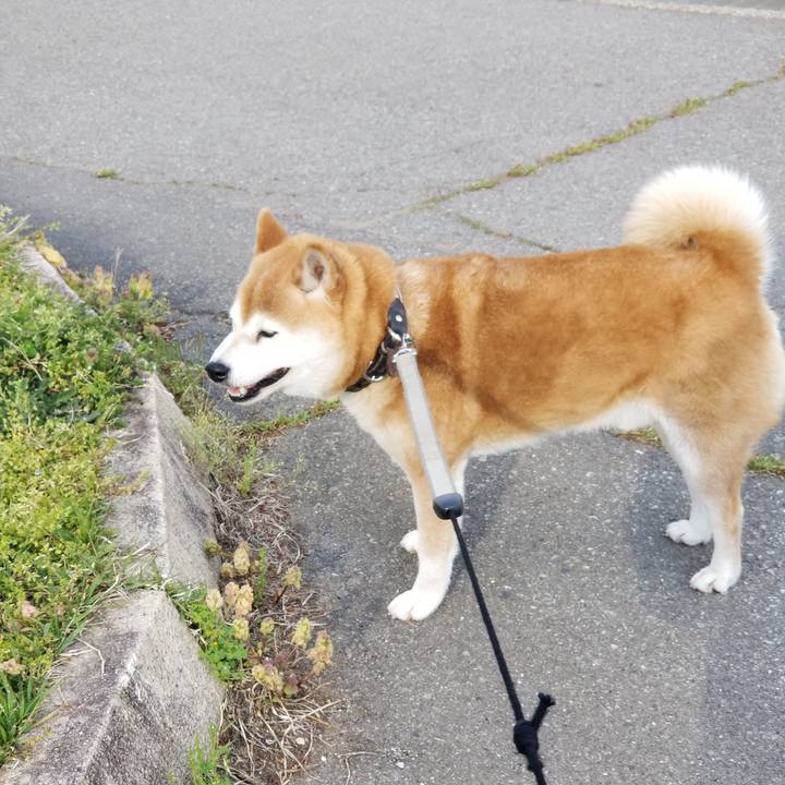 Ceeea7e8 db41 4c8e 9ec9 67823269b028 1620719346321