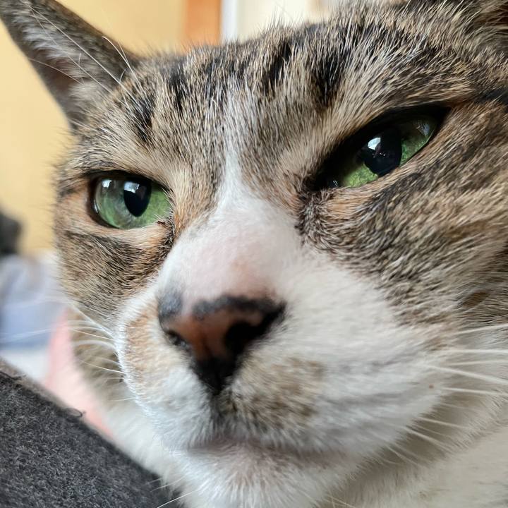 Ceeeb555 185f 419e 8313 408f4d9ffbd0 1653096817380