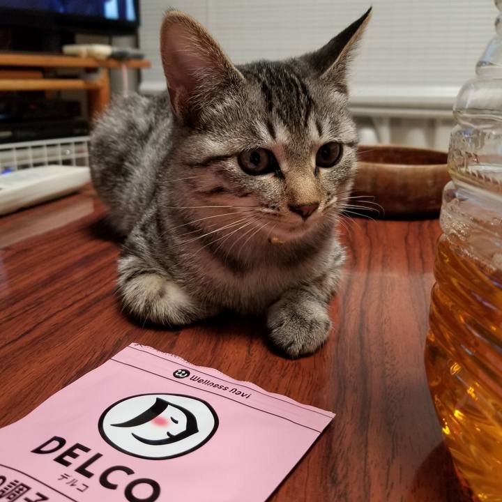 Ceeed55f 1a00 478d 97e3 17b30627e530 1667830500083