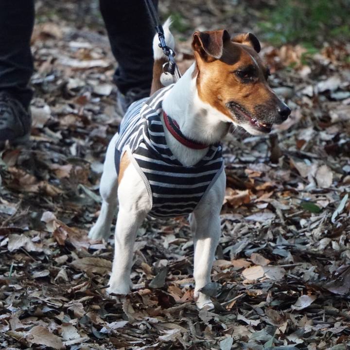 Ceef47ce bc3e 4922 a52c 0cce113603d0 1515195965726