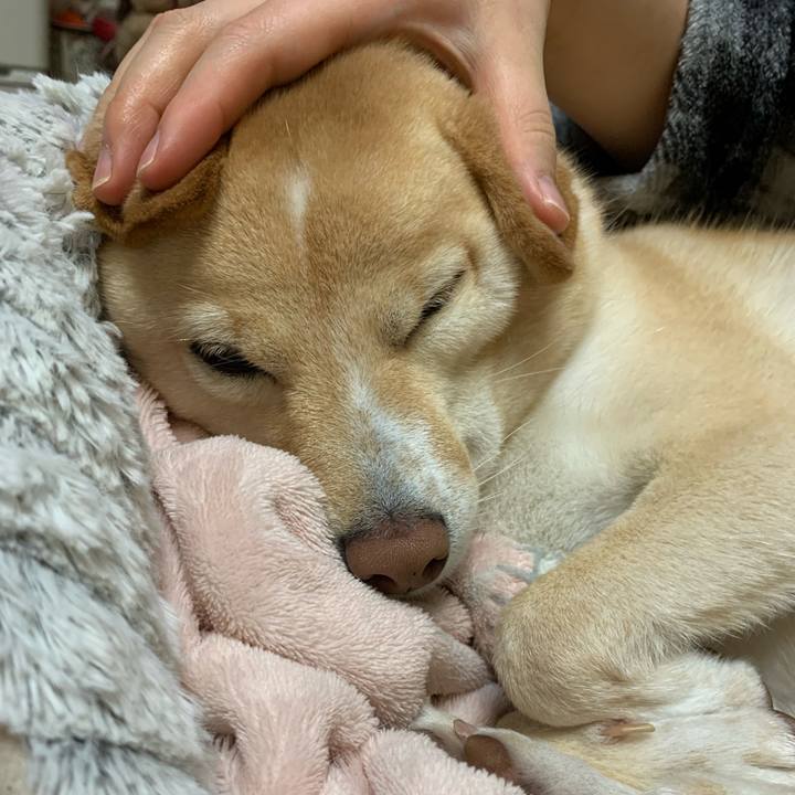 Ceef4bd4 4e71 4d75 ab44 c7653351465c 1638966922962