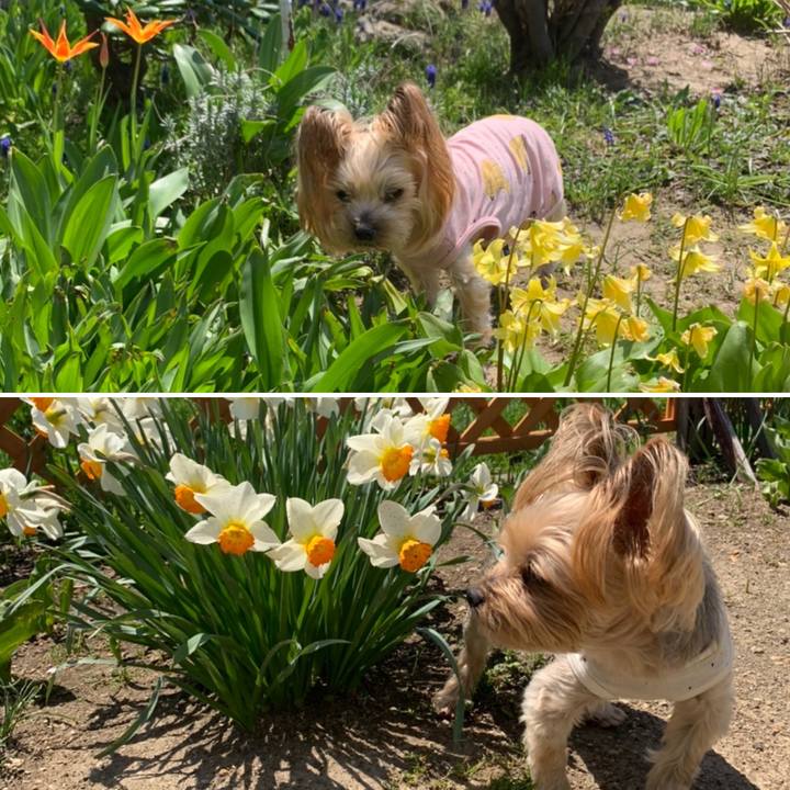 Ceef8efe eab7 4cdd 86cc c560182b9809 1652177290003