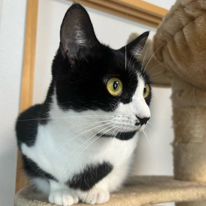 Ceef9f51 9e1e 4552 bf1e abef72555c05 1760579786769