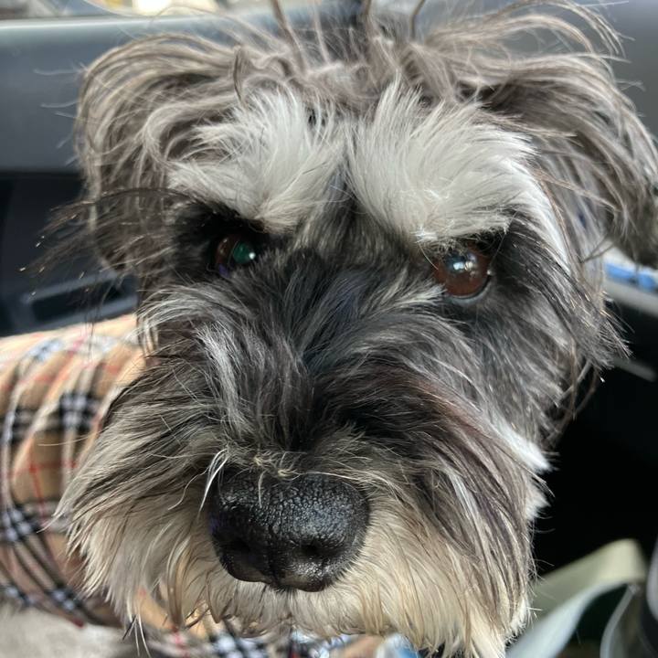 Ceefbb22 db89 4839 8b75 2f83741e5f52 1711079399339