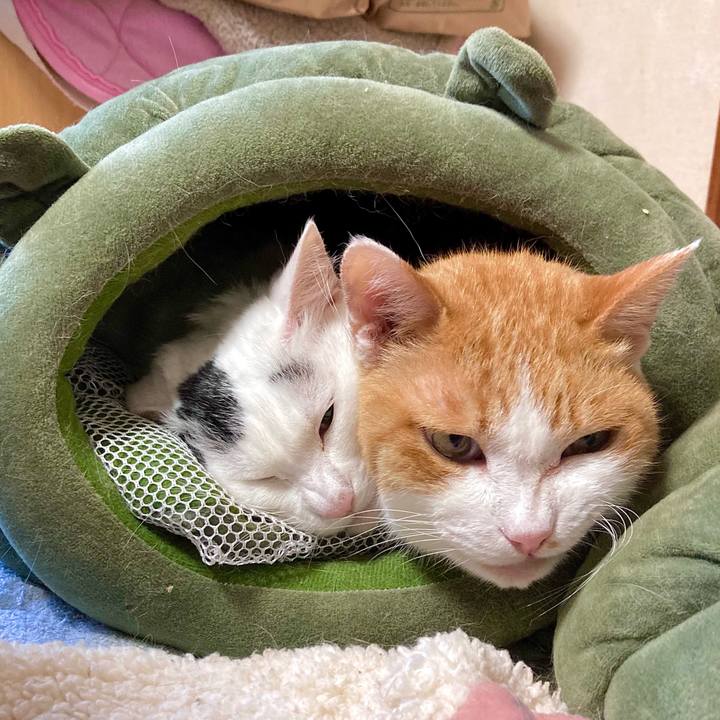 Ceefc524 29a6 4097 9b78 97e36c5c13d9 1665216089281