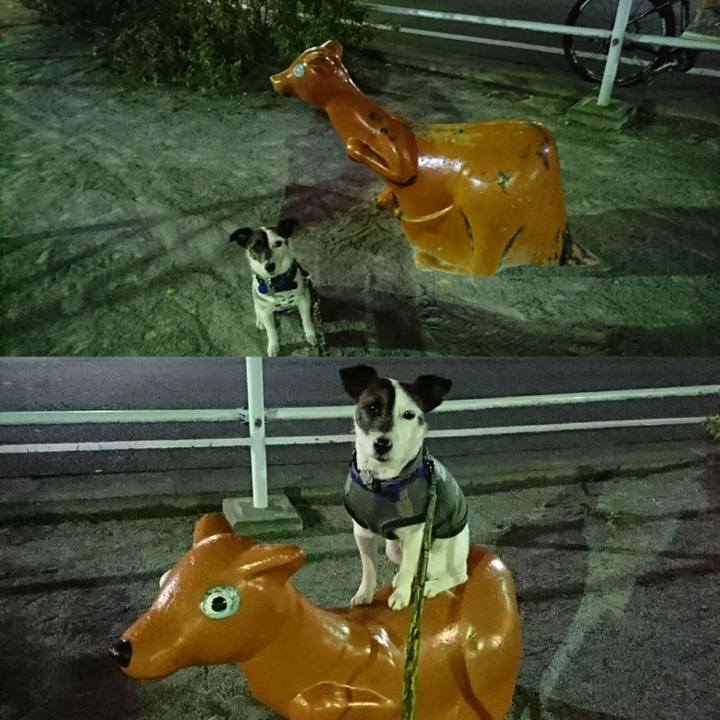 Ceefcd19 8b09 4c7f aec5 9b496da17f85 1520376011983