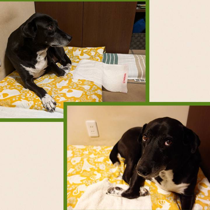 Ceefe6c8 72b4 4a96 8c27 c03b9e53e368 1727867073669