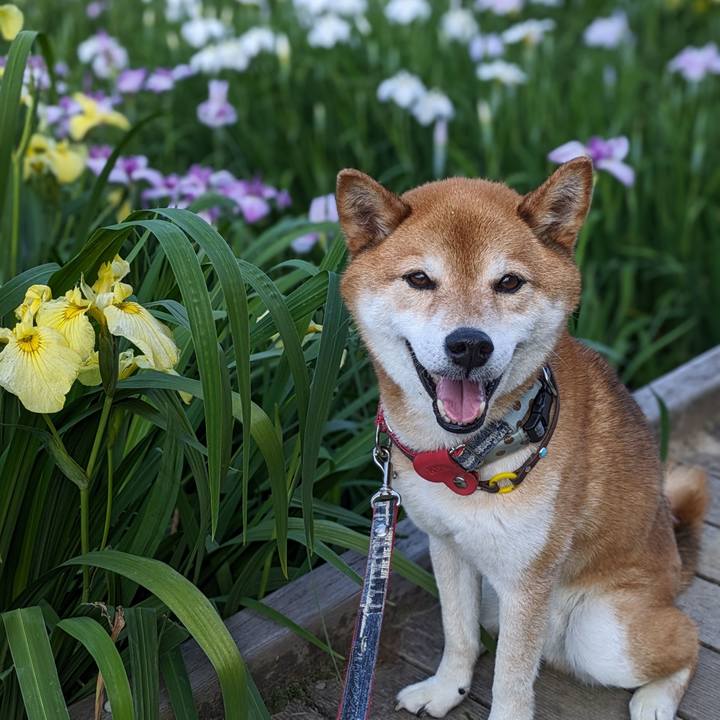 Ceefe73a 0d18 4439 b60d c10c6f01aa06 1717501003169