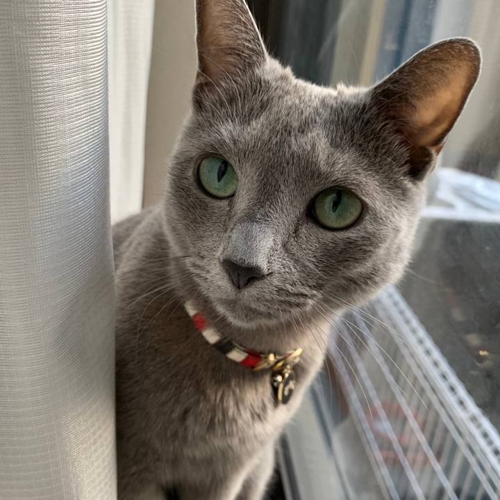 Cef006c0 3f2e 453c 8d2f 2910292ac523 1667703457824