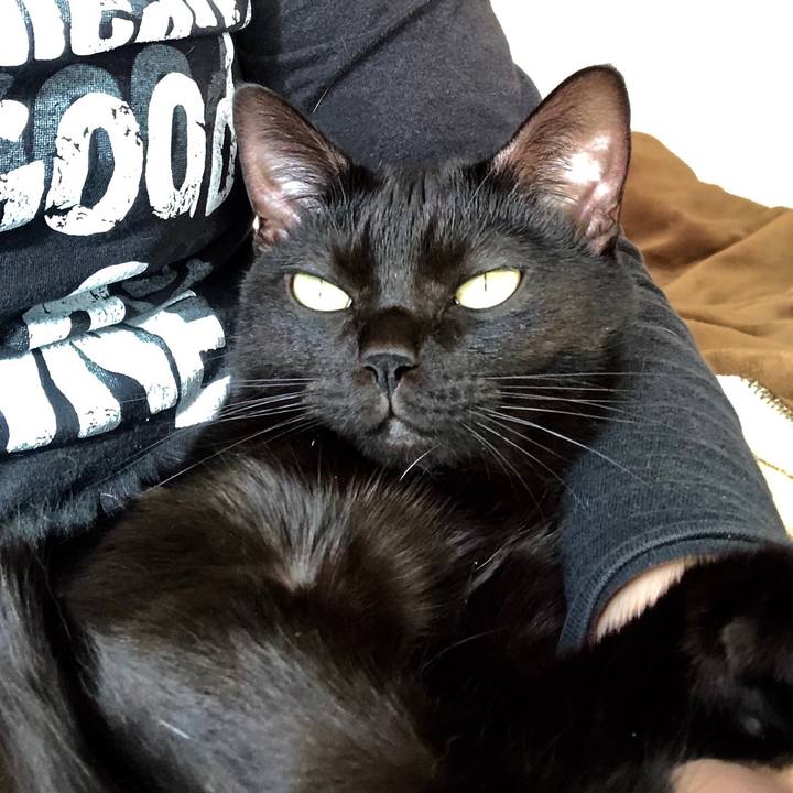 Cef008a4 a872 4094 b88e e81b467060d2 1542932886641