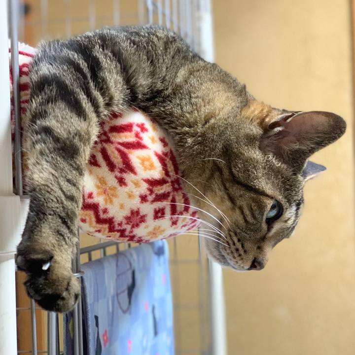 Cef01dd6 a9d6 4d95 b797 96f4f6a3f455 1589504270594