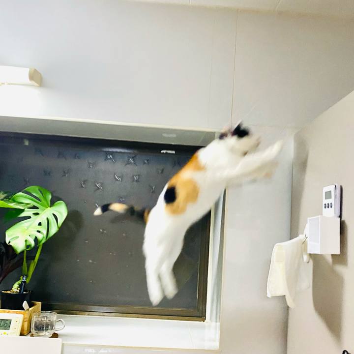 Cef02714 4284 4043 b0f2 c221602f28ad 1691672528384