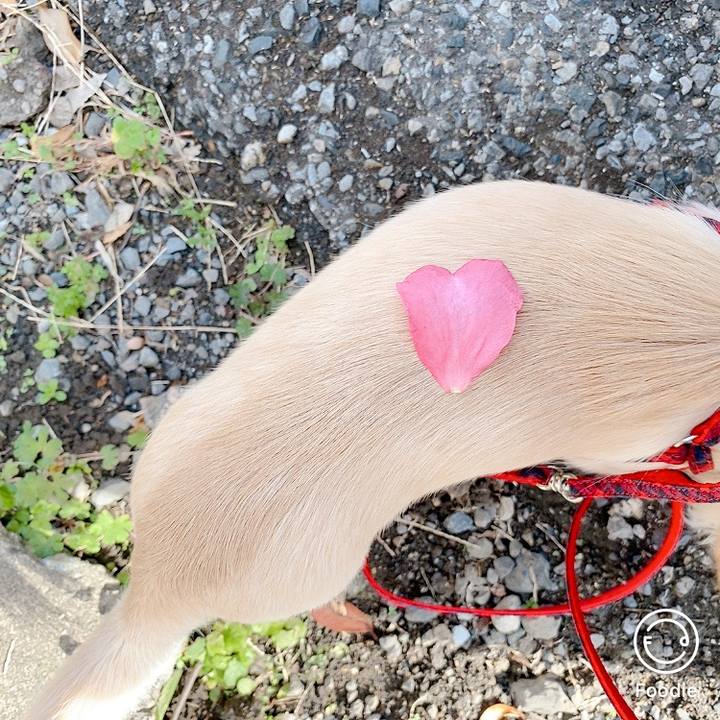 Cef03c17 fe80 4ccd 947e 564eed0554de 1606365542396