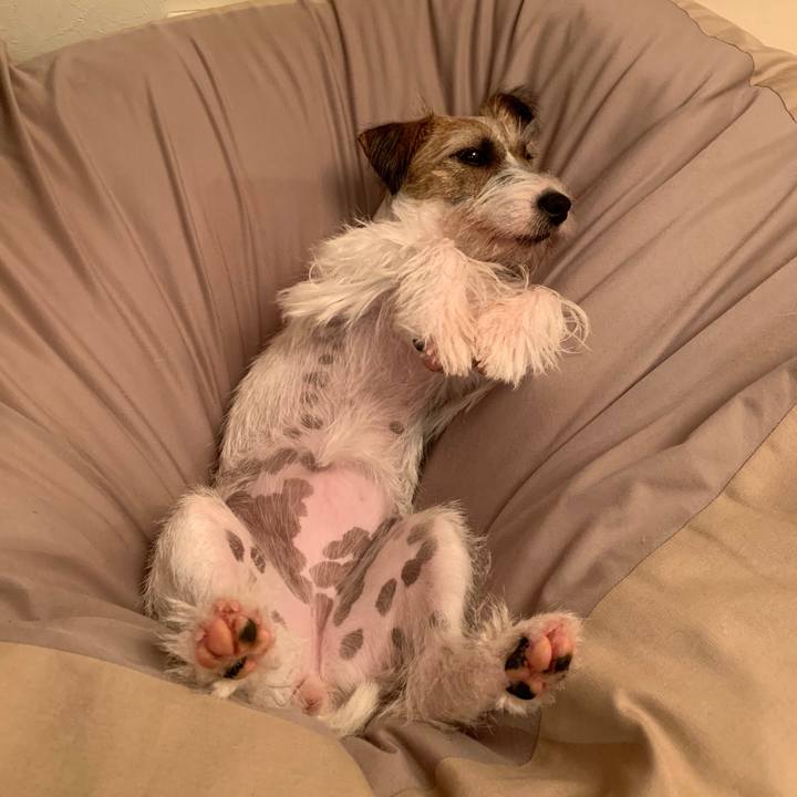 Cef04a5d 7953 4c98 9d05 87918de8cce8 1595770696487