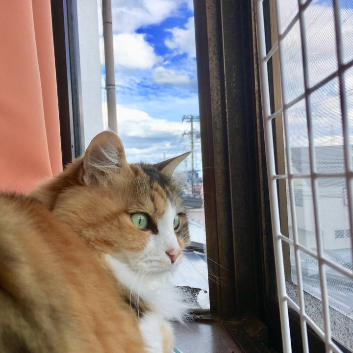 Cef094cf f884 40fc b325 6068d6ed82b6 1560827376378