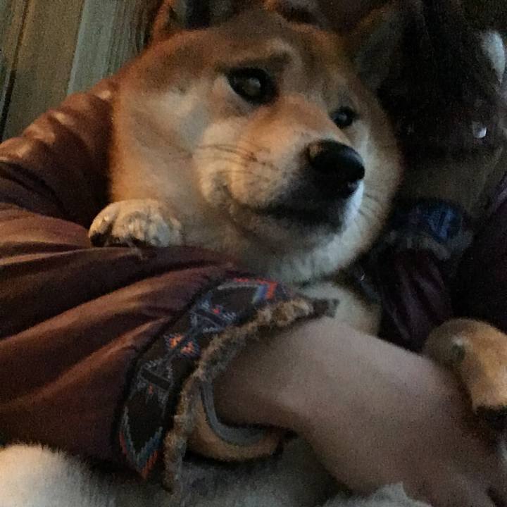 Cef13f94 fc31 4788 8dc0 cb4718d36c6e 1511910720186