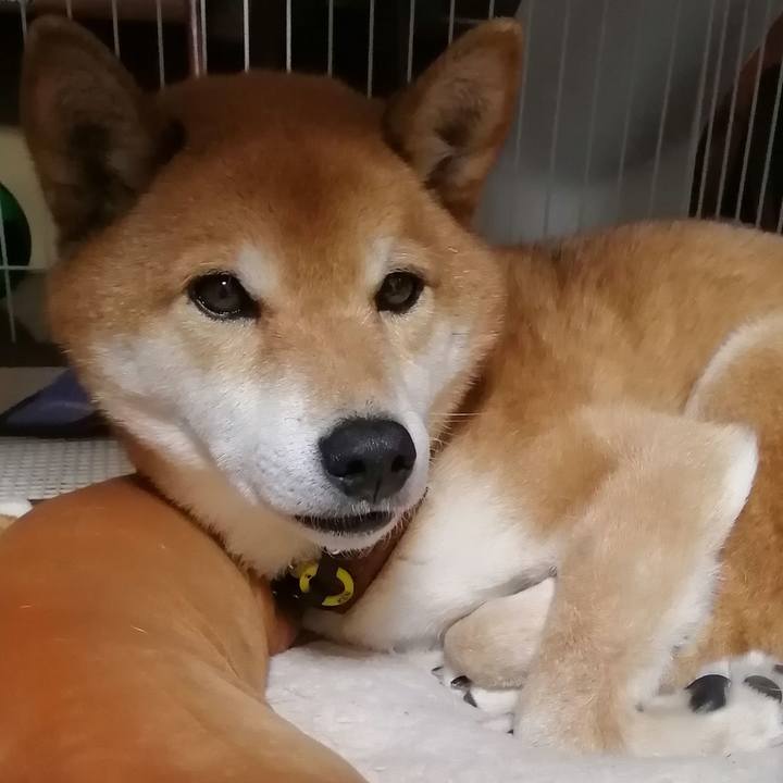 Cef1f545 09df 425d 9b37 1422e1297c28 1613385486851