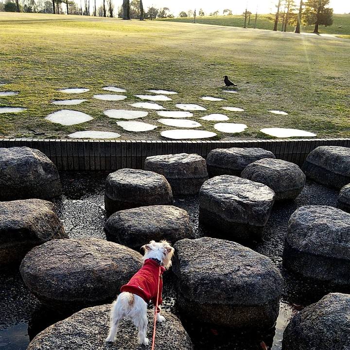 Cef1f826 953e 411e aba3 9bf83aad4a14 1583662354954