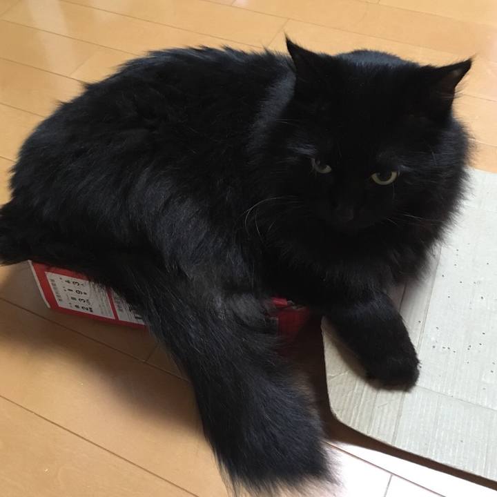 Cef1fd0d ed10 4771 ae52 7557063e91e6 1542752764352