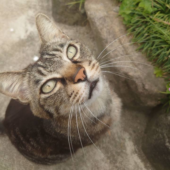 Cef213e1 b743 4608 8949 c46947e25e05 1620097953597