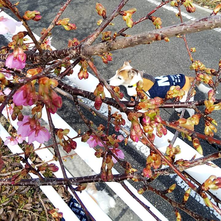 Cef214d5 cb44 4ebd 8917 ef4b50d5a200 1550980484729