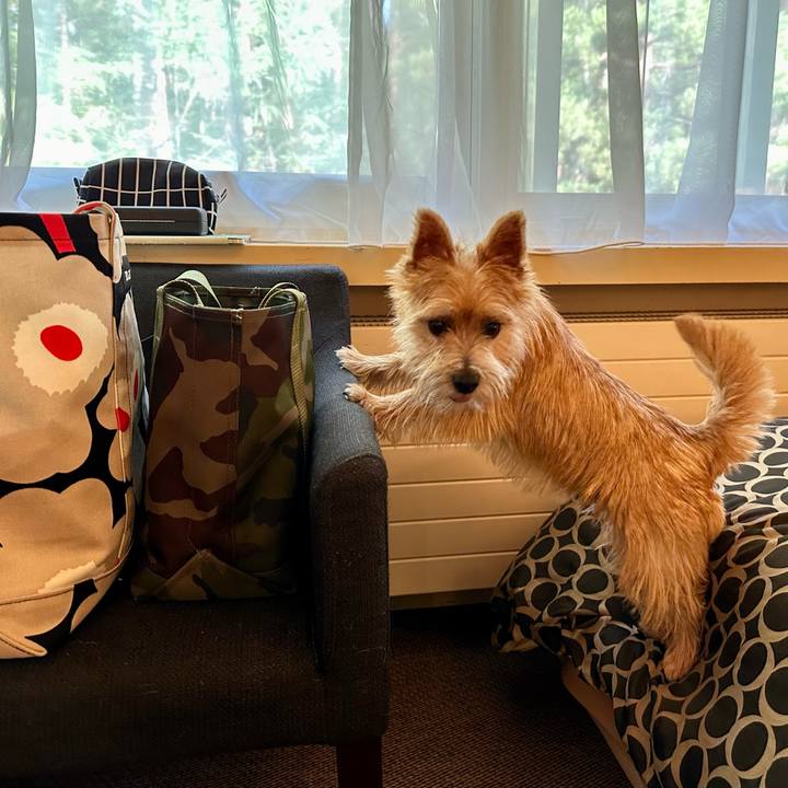 Cef21c7a 5e13 4f49 bf9d 84eaae8bac49 1722780973348