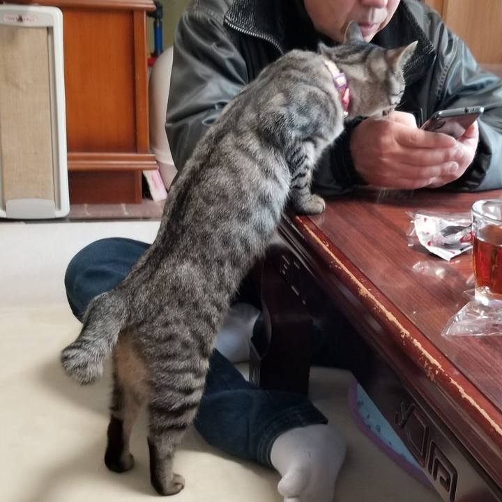 Cef26c31 ce58 4595 a6b4 466652a72b65 1682434204122