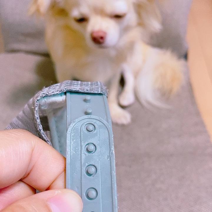 Cef27d04 aebf 4dba 8e5f b826a4d4e9fd 1627217039432