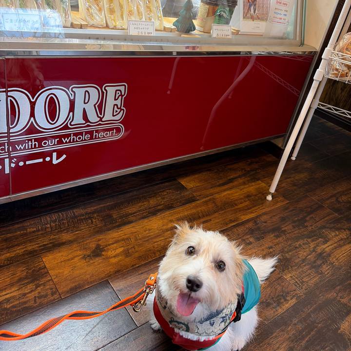 Cef31510 ed07 491b adfe 4dda485723f5 1766186846118