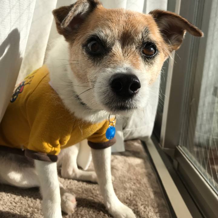 Cef316fc a73d 40b4 abd6 060ddb68cf6f 1610002203885