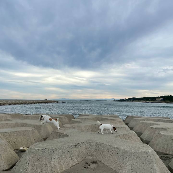 Cef31838 21ab 4214 b100 4b58d9265f3a 1663804365841