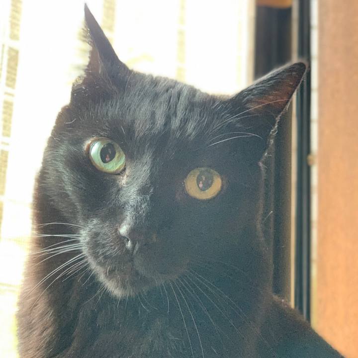 Cef32860 9b91 47e6 83b5 7c62a8c5be67 1587778089692