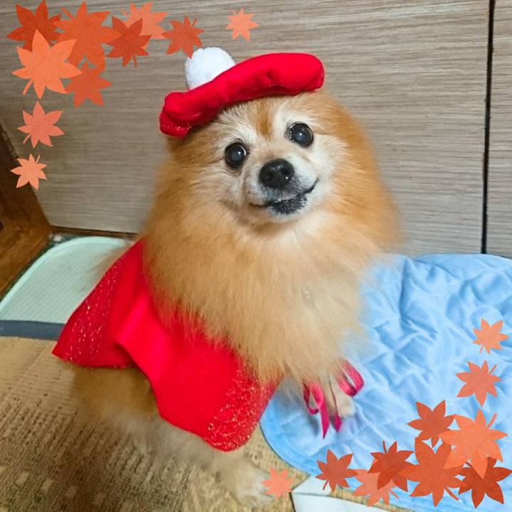 Cef35e1a ca83 467b 8258 93684748f455 1537149912444