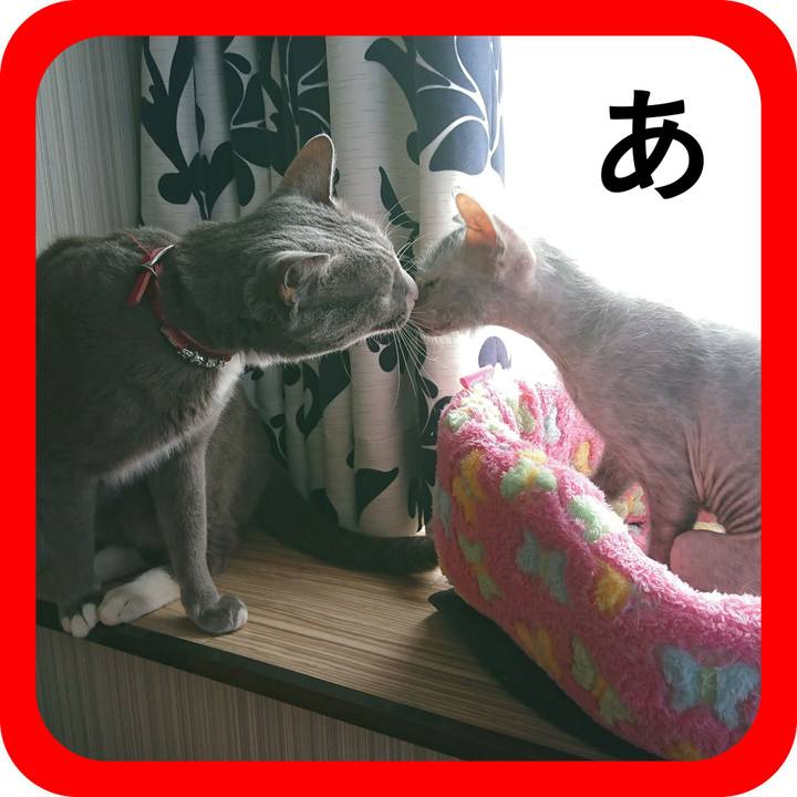 Cef35e73 982a 4441 a22c 277bed6d3ef8 1515031876649