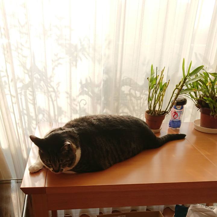 Cef37ed8 049d 4762 a526 ed7f1fa54a5b 1522967621917