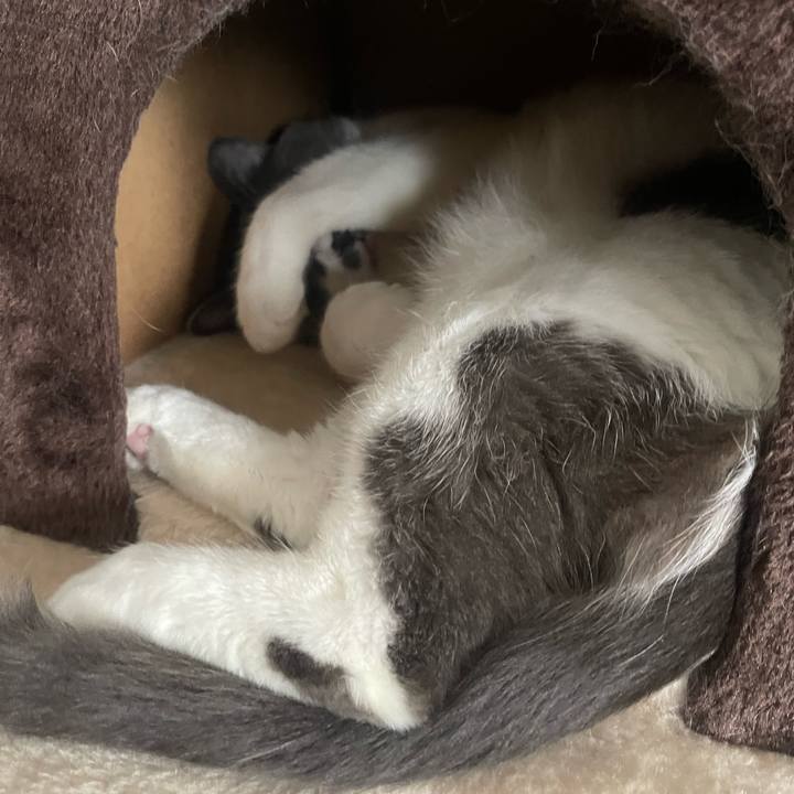 Cef37fea 1090 433d b36a 064fc688f431 1722061575640