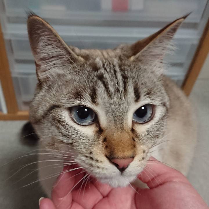 Cef38cb3 359b 453a 81f1 eabfac8528ac 1525909409289