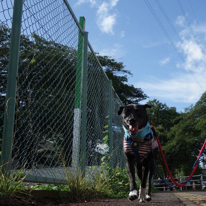 Cef3a128 2efa 4c87 b835 3de55ca940df 1629246987757