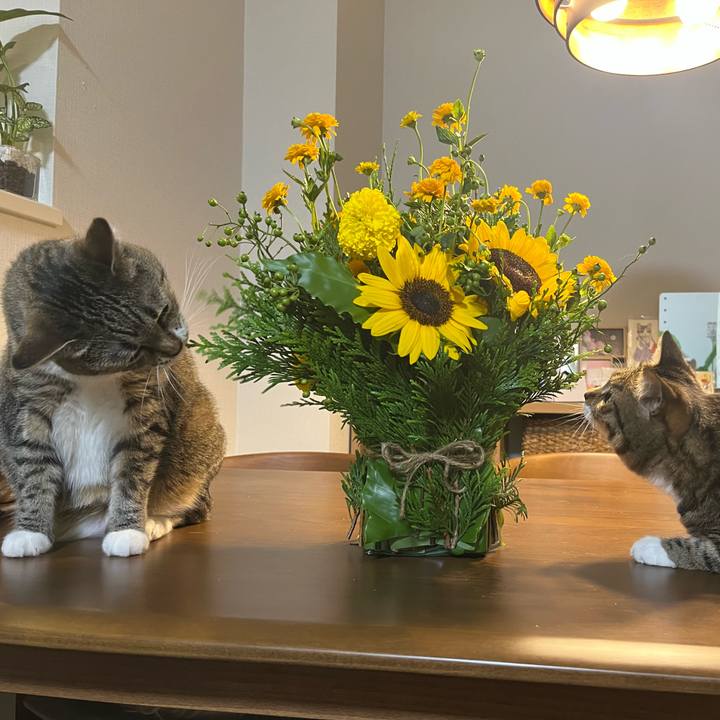 Cef3b4c6 7c68 4ca6 b0fc 29dfcfb4feb4 1753965160392