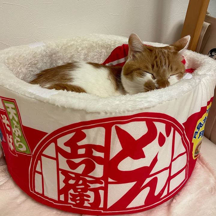 Cef3c7e6 d8aa 471b bc47 88881a5632d7 1674296371517