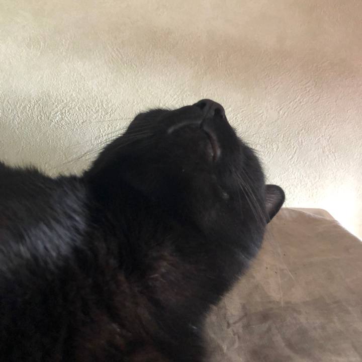 Cef3d32e ad22 4b06 9882 cd4d4cc8ef08 1557639490352