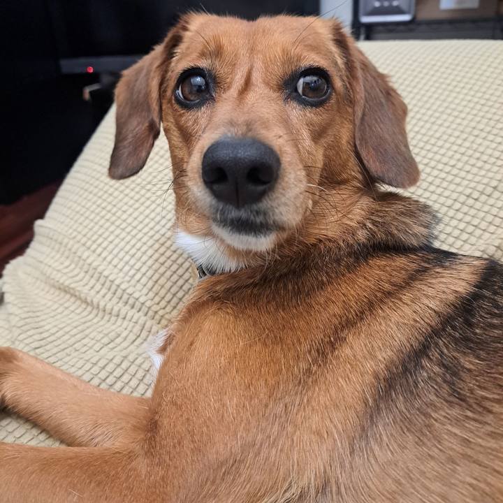 Cef3dd26 da53 4061 a59a 49394be14838 1762553350373